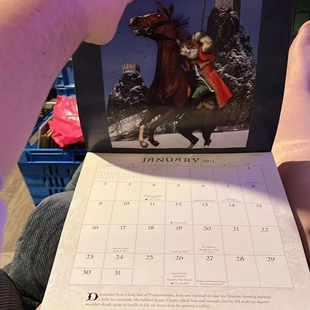 12“ x 12“ 2011 bohemian cats calendar out of package, has not been written in